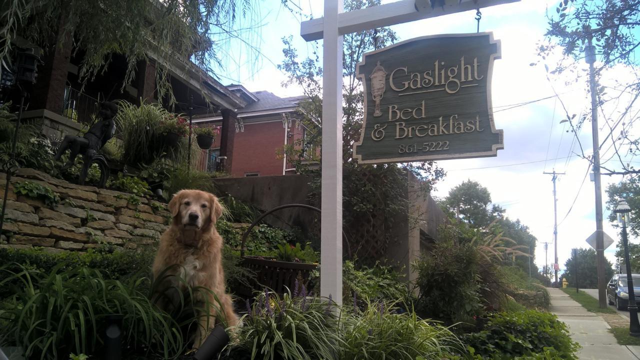 Gaslight Bed & Breakfast Cincinnati Exterior foto